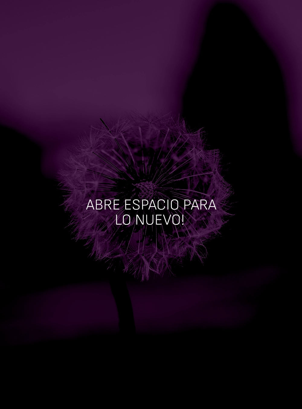 Abre espacio para lo nuevo!