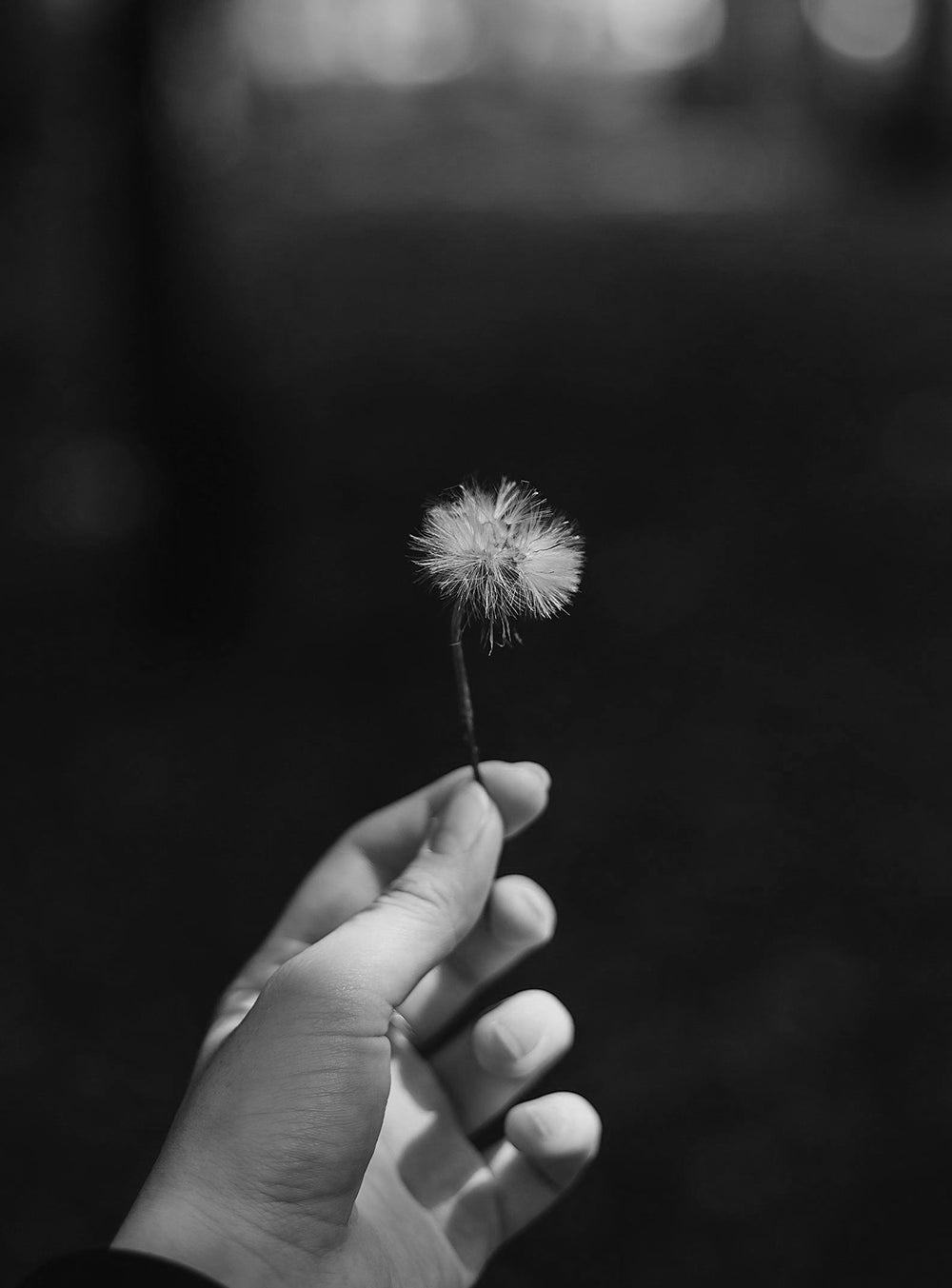 Hablemos de Gratitud!